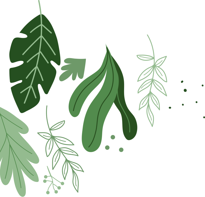 Bulk Essential Oils Supplier