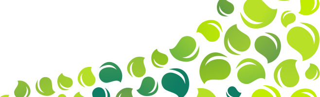 Spikenard Oil Exporter from India